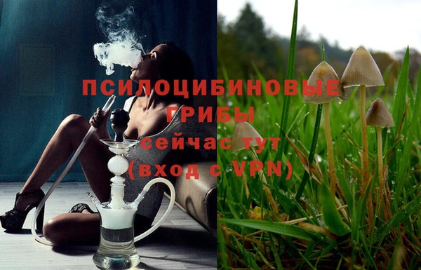 jwh Козельск