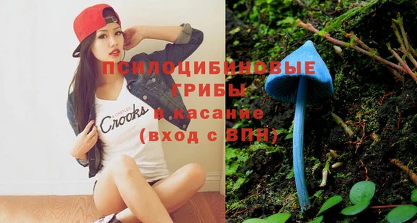 таблы Коряжма