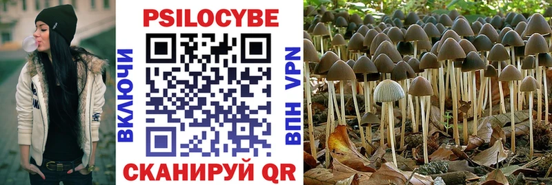 Псилоцибиновые грибы Psilocybine cubensis  как найти закладки  Княгинино 